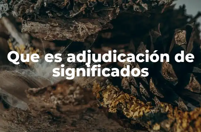 Que es Adjudicación de Significados