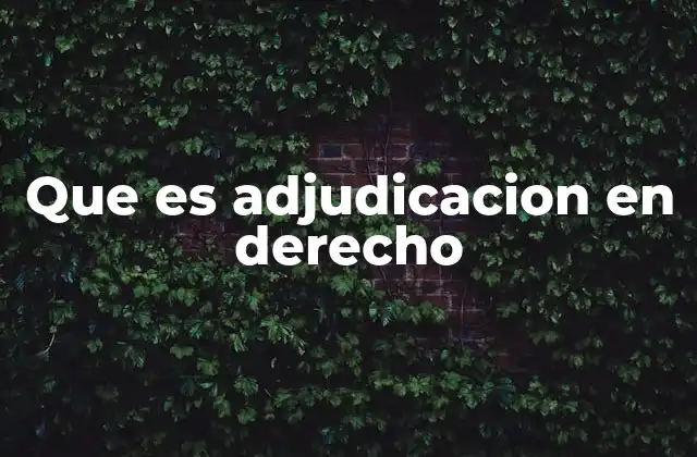 Que es Adjudicacion en Derecho