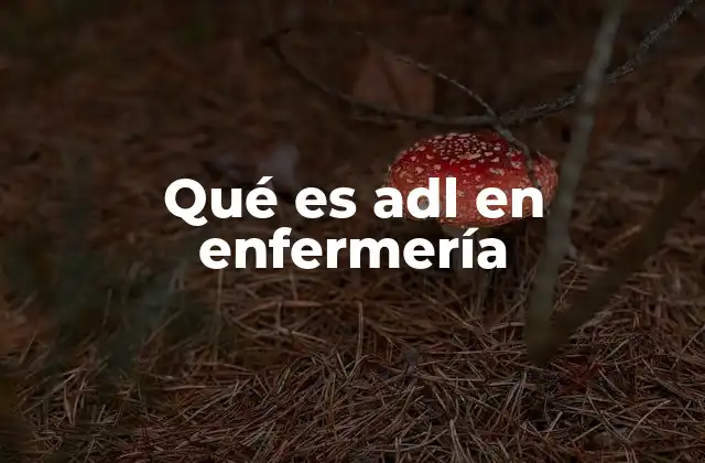El papel de las ADL en la evaluación funcional del paciente