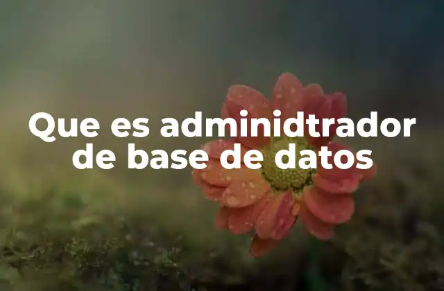 Que es Adminidtrador de Base de Datos