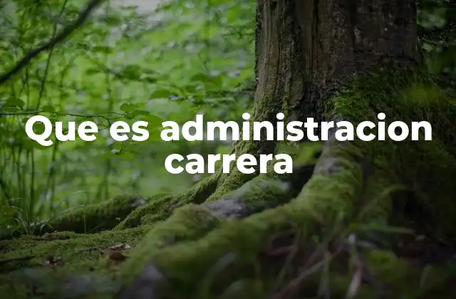 Que es Administracion Carrera 2 La importancia de la administración en el desarrollo empresarial