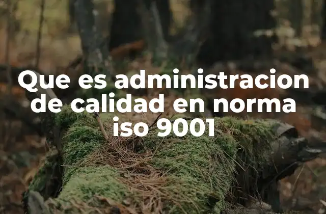 Que es Administracion de Calidad en Norma Iso 9001