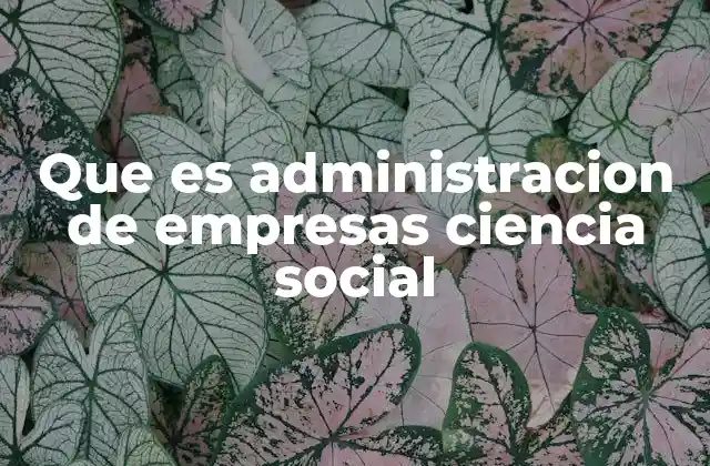 El enfoque humano en la gestión empresarial