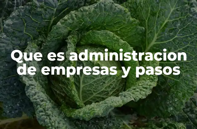 Que es Administracion de Empresas y Pasos 2 La base para el éxito de cualquier negocio