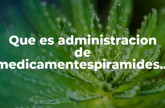 Que es Administracion de Medicamentespiramides de Necesidades de Abraham Maslow