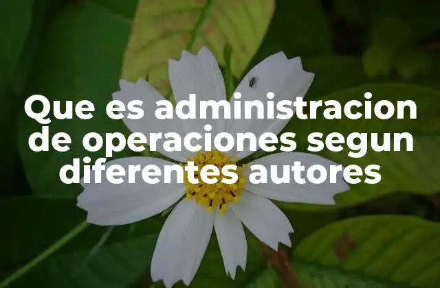 Que es Administracion de Operaciones Segun Diferentes Autores