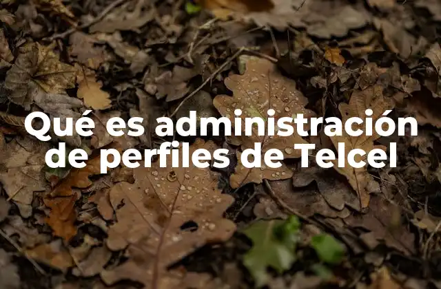 Qué es Administración de Perfiles de Telcel