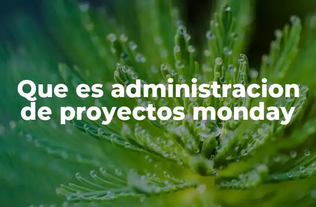 Que es Administracion de Proyectos Monday