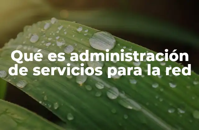 Qué es Administración de Servicios para la Red