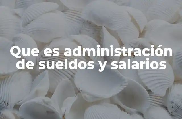 Que es Administración de Sueldos y Salarios