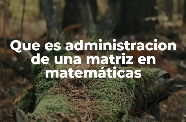 Que es Administracion de una Matriz en Matemáticas
