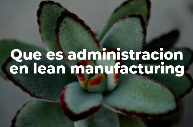 Que es Administracion en Lean Manufacturing