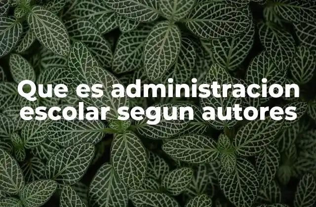Que es Administracion Escolar Segun Autores