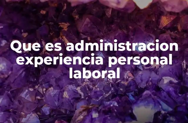 Que es Administracion Experiencia Personal Laboral 2 Cómo organizar tu trayectoria profesional sin mencionar directamente la palabra clave