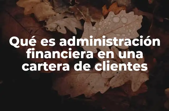 Qué es Administración Financiera en una Cartera de Clientes