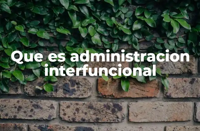 Que es Administracion Interfuncional 2 La importancia de integrar funciones en la gestión pública