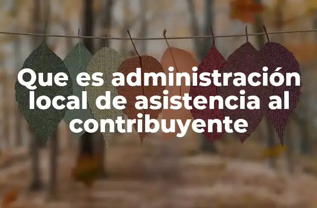 Que es Administración Local de Asistencia Al Contribuyente