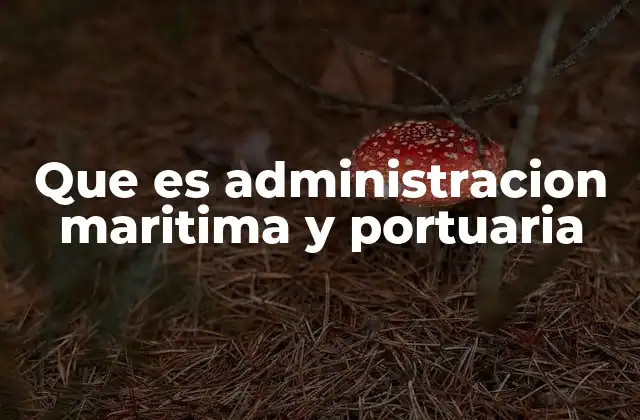 Que es Administracion Maritima y Portuaria