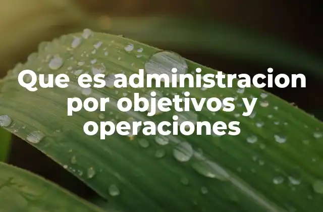 Que es Administracion por Objetivos y Operaciones