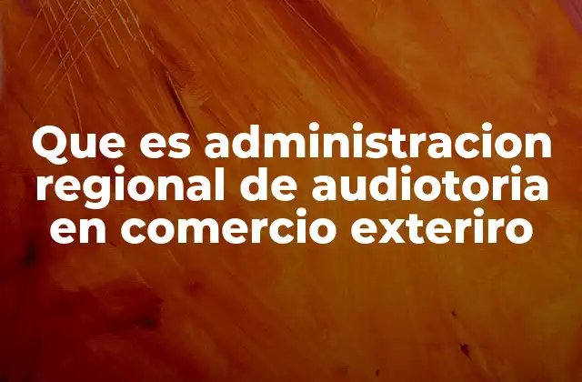 Que es Administracion Regional de Audiotoria en Comercio Exteriro 2 Funcionamiento de la auditoría en el comercio exterior