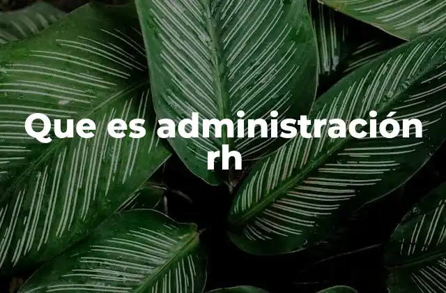 Que es Administración Rh