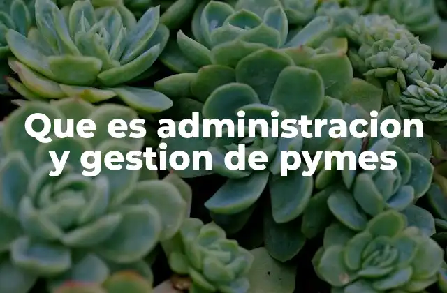 Que es Administracion y Gestion de Pymes
