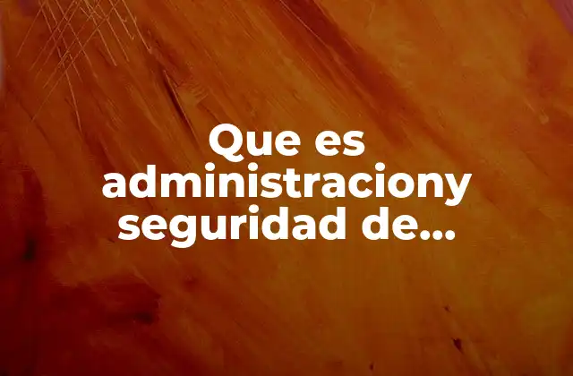 Que es Administraciony Seguridad de Proyectos de Negocio It