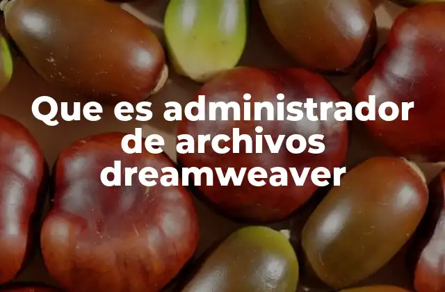 Que es Administrador de Archivos Dreamweaver