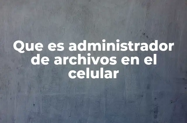 Que es Administrador de Archivos en el Celular