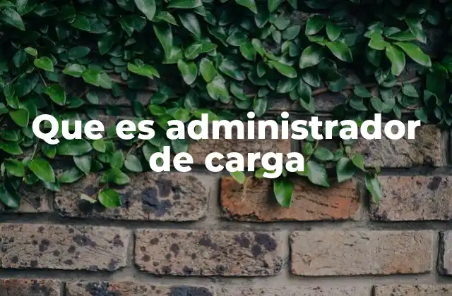 Que es Administrador de Carga 2 El rol del administrador de carga en la logística moderna