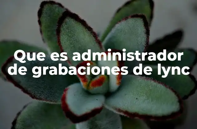Que es Administrador de Grabaciones de Lync