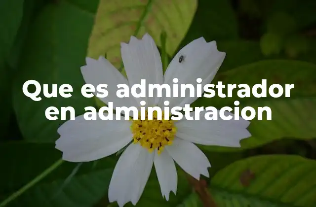 Que es Administrador en Administracion