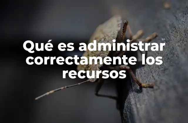 Qué es Administrar Correctamente los Recursos 2 Optimización de insumos para maximizar resultados