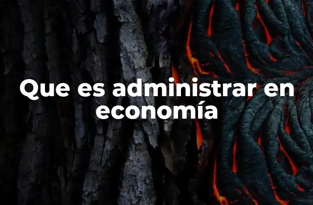 Que es Administrar en Economía