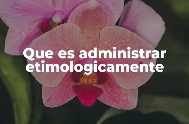 Que es Administrar Etimologicamente