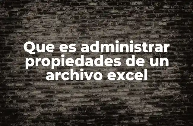 La importancia de organizar la información asociada a los archivos