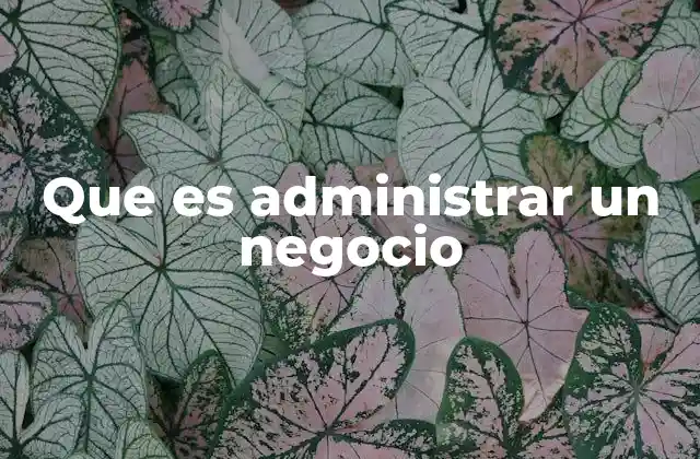 Que es Administrar un Negocio