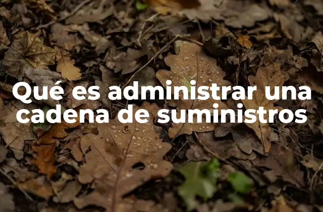 Qué es Administrar una Cadena de Suministros