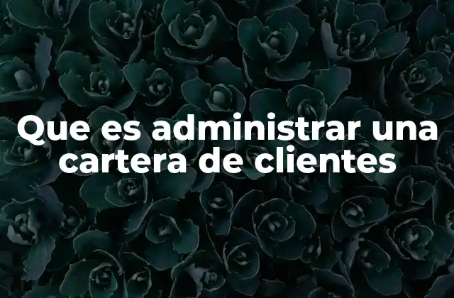 Que es Administrar una Cartera de Clientes