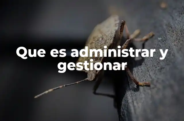 Que es Administrar y Gestionar