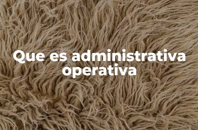 Que es Administrativa Operativa