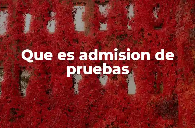 Que es Admision de Pruebas 2 El proceso para validar una prueba judicial