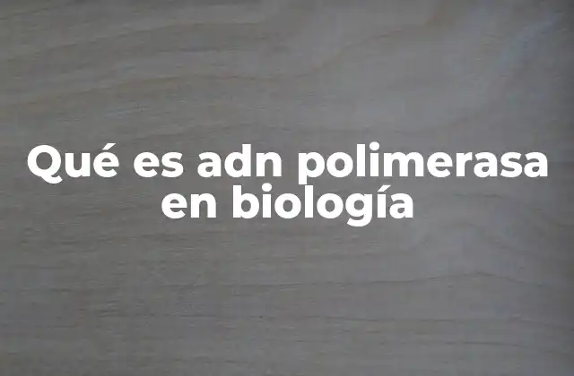 Qué es Adn Polimerasa en Biología