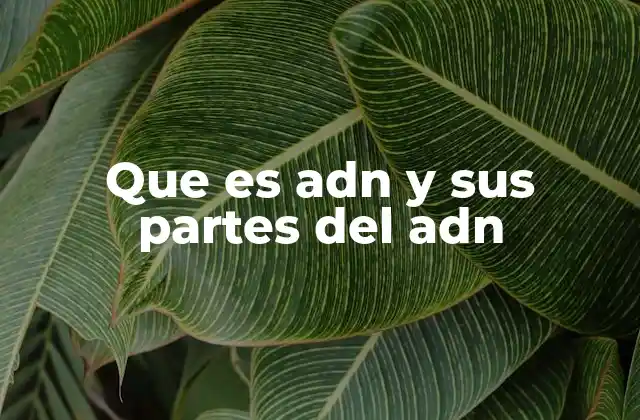 Que es Adn y Sus Partes Del Adn