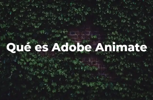 Qué es Adobe Animate 2 La evolución de las herramientas de animación digital
