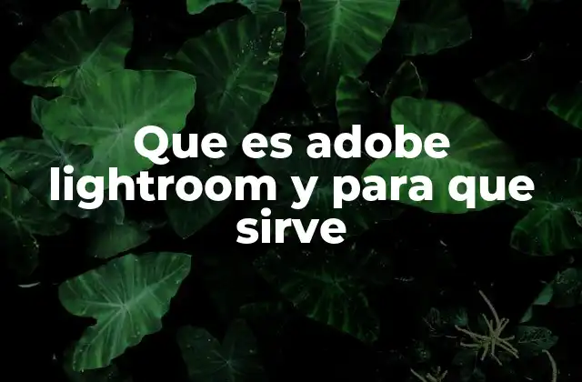 La importancia de una herramienta de gestión y edición fotográfica