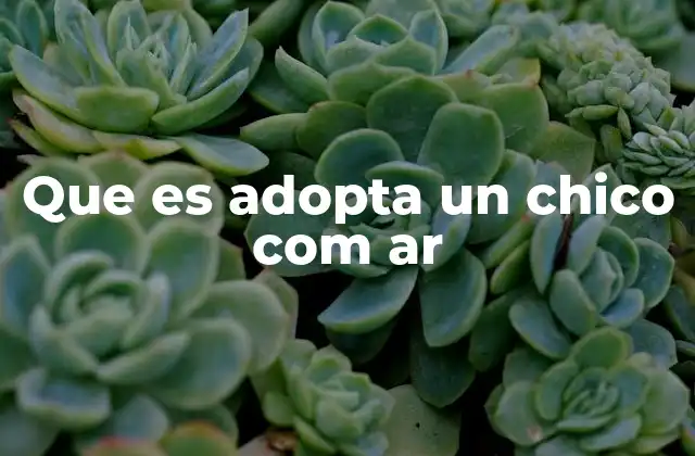 Que es Adopta un Chico Com Ar