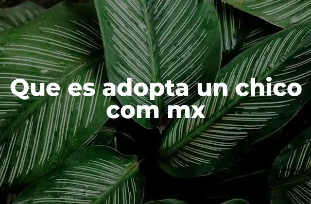 El proceso de adopción en México sin mencionar la palabra clave
