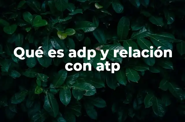 Qué es Adp y Relación con Atp