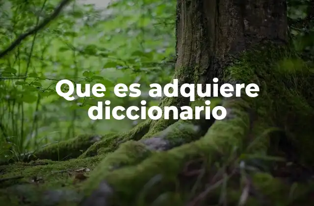 Que es Adquiere Diccionario